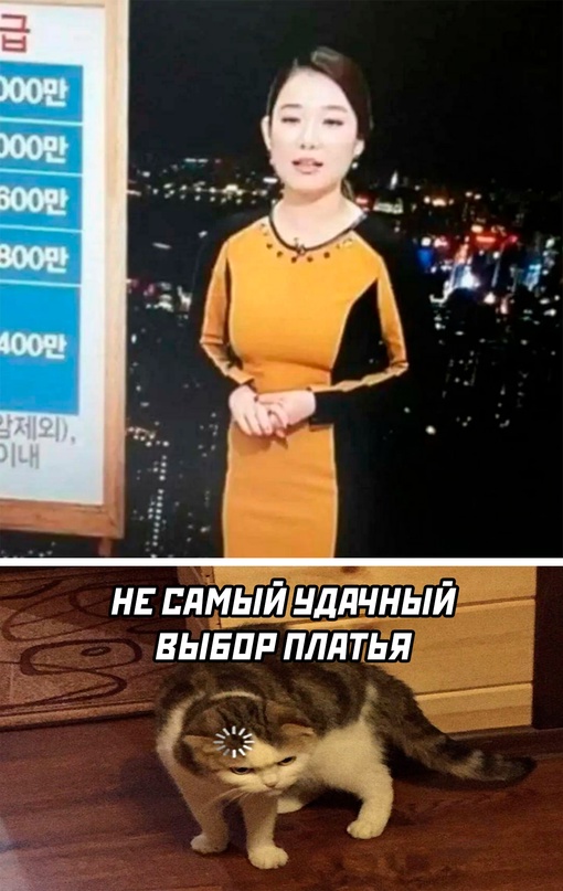 Весёлый полтишок 11.08.22