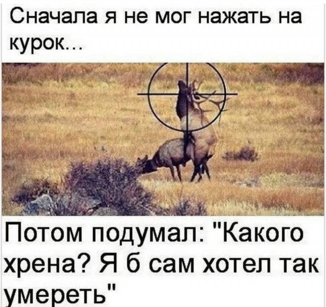 Баянисто-небаянистый юмор 18.08.22