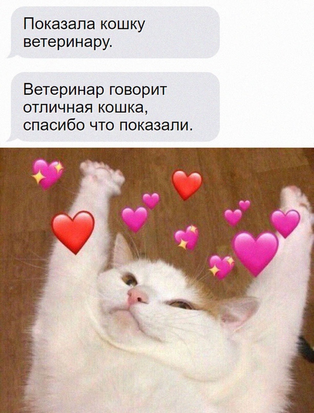 Картинки и мемы, всем хороших выходных
