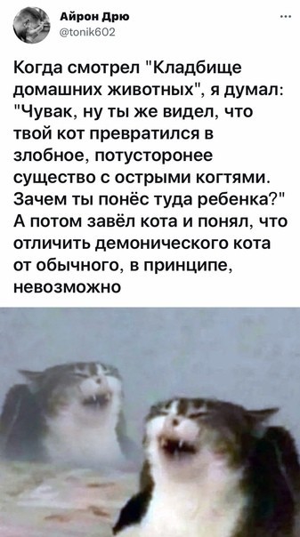 Даёшь котов в этот вторник!
