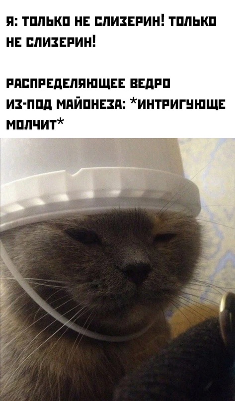 Картинки и мемы для настроения - 131