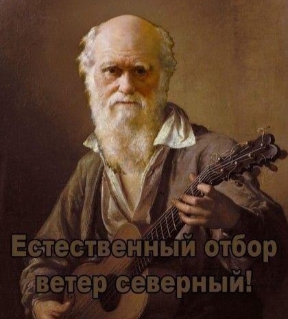 Грыжа вылезла