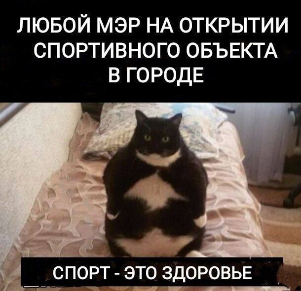 Картинки и мемы, всем хороших выходных