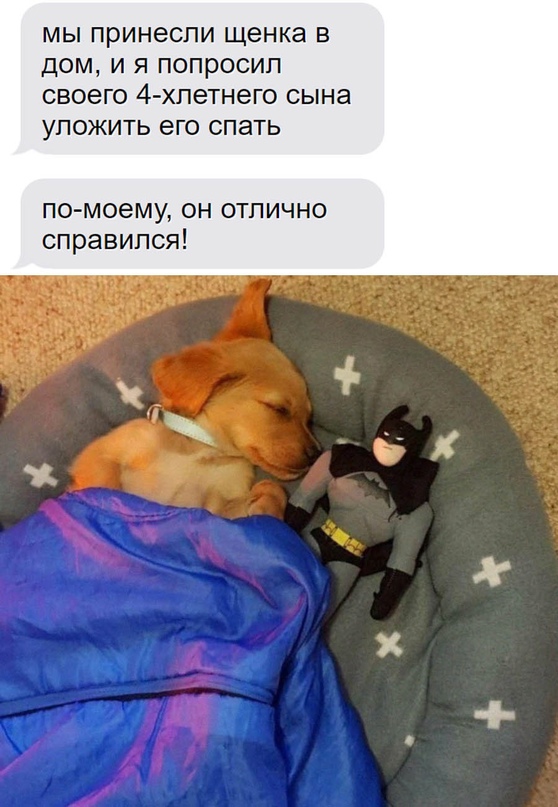 Немного картинок для настроения - 165