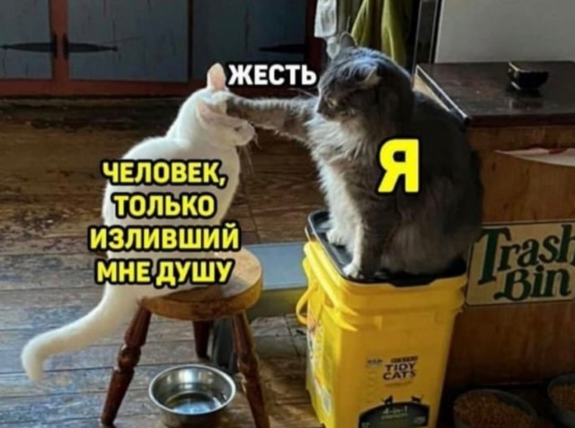 Немного картинок для настроения - 177