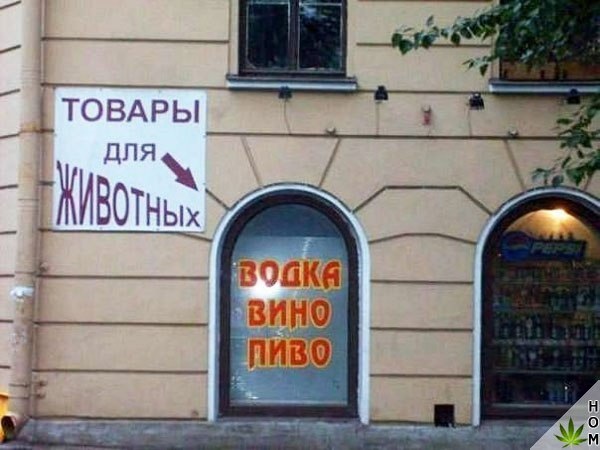 Где алкоголики берут деньги на спиртное?