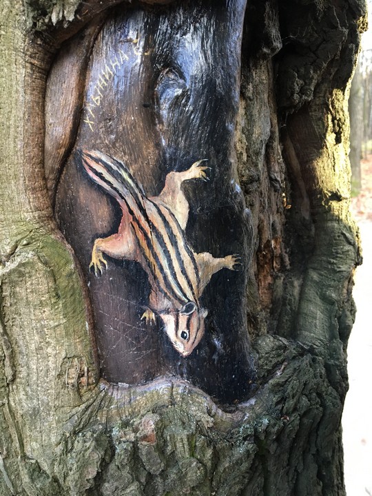 Спасибо тем, кто делает такое. Часть 3