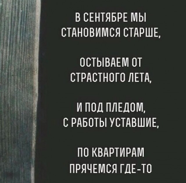 Дурдом (Бояны)