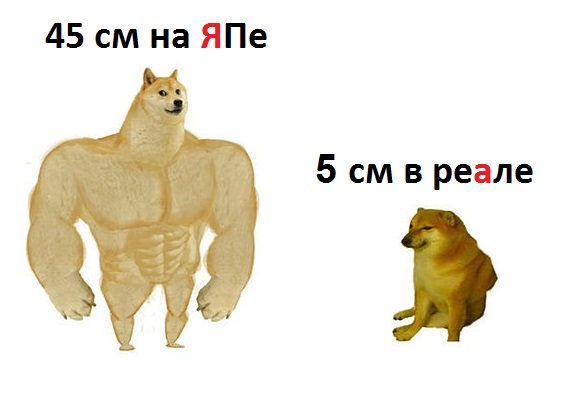 Найден идеальный размер пениса, с точки зрения женщин