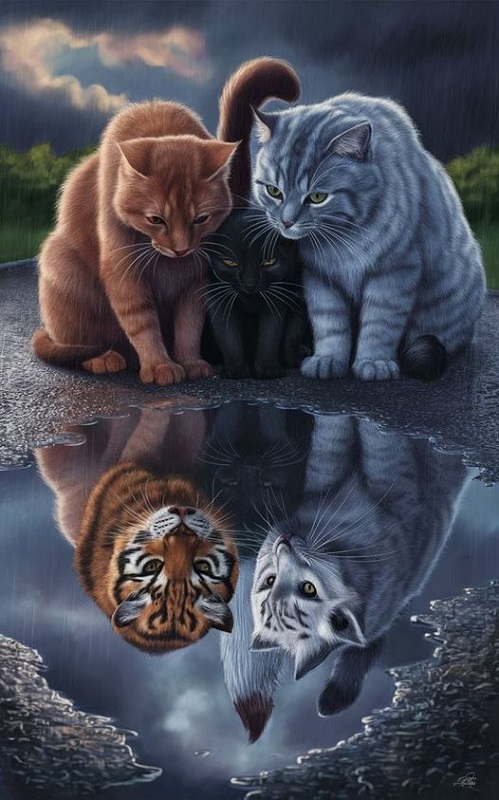 Картинки разные с надписями и без