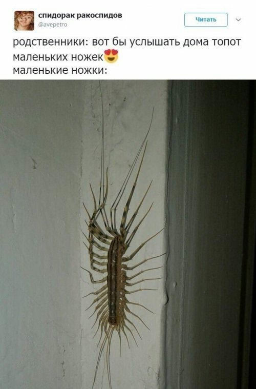 Средство от тараканов.
