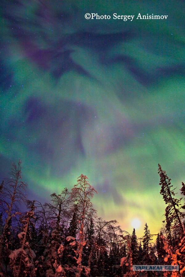 Красота! Лето на Ямале. Фото