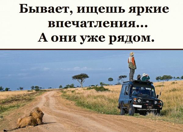 80 баянов из вацапов