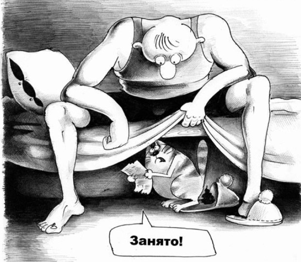 Смешные картинки с надписями и чужой кот