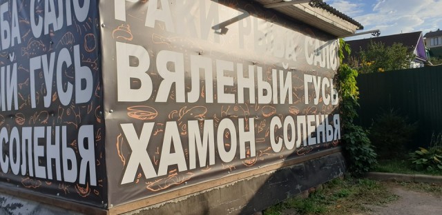 У меня гусь по небу ходит