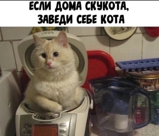 Маленькая пятница 20.08.25