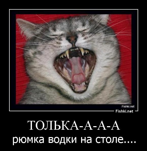 Полный стакан водки