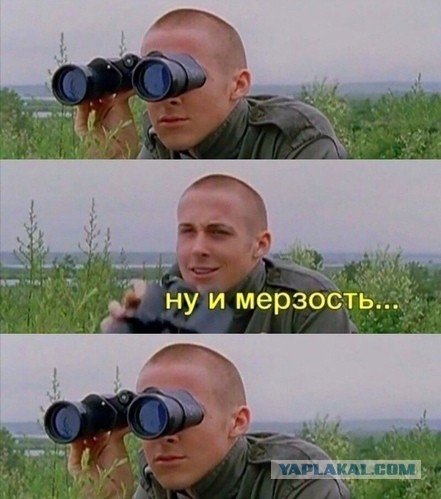 «Белочка: Я пришла!»
