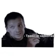 Москвичи продали две квартиры, чтобы открыть каннабис-ферму в Таиланде