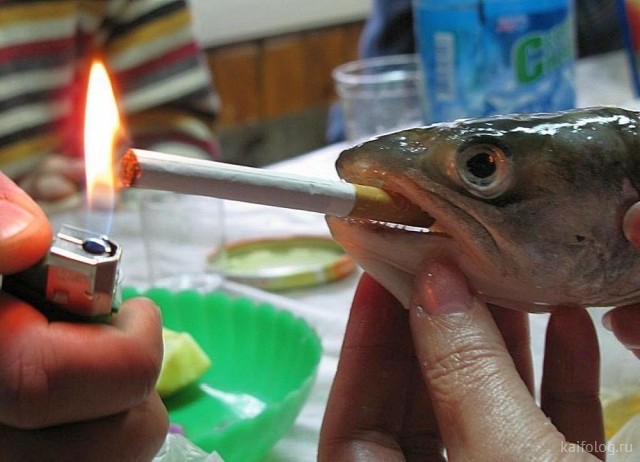 Четверг , картинки