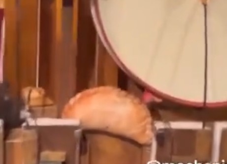 А теперь дискотека!