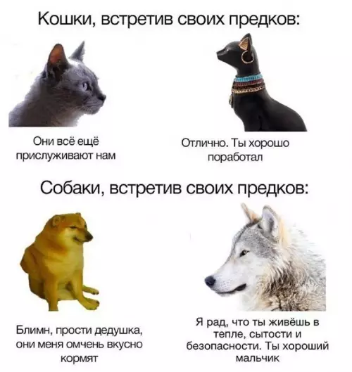 Картиночки, баянчики 11 марта