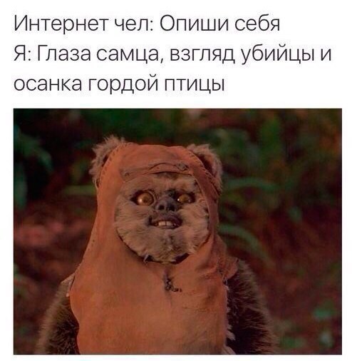 Так себе картинки 22.06.26