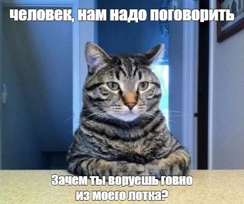 Помощники
