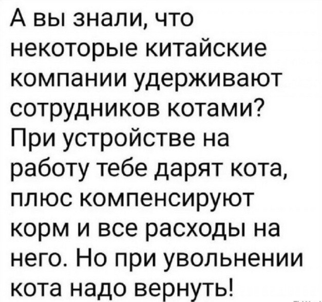 Так себе картинки 18.08.26