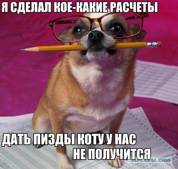 Позитивные картинки