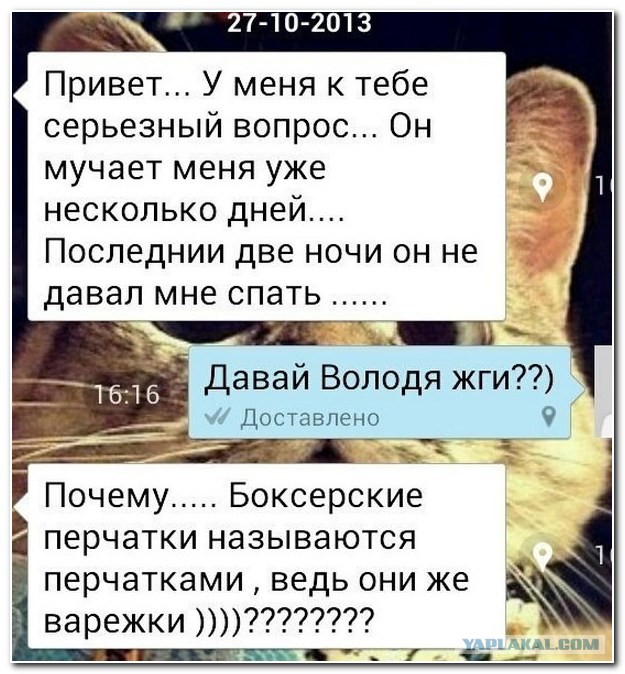 Новые "комментарии из соцсетей"