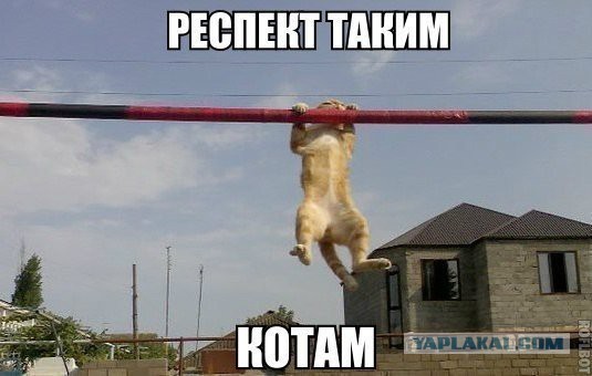 Новые "комментарии из соцсетей"