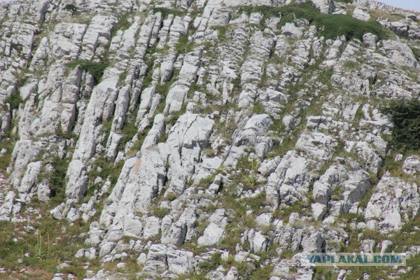 Дорога из Киева и из Москвы в Ялту.