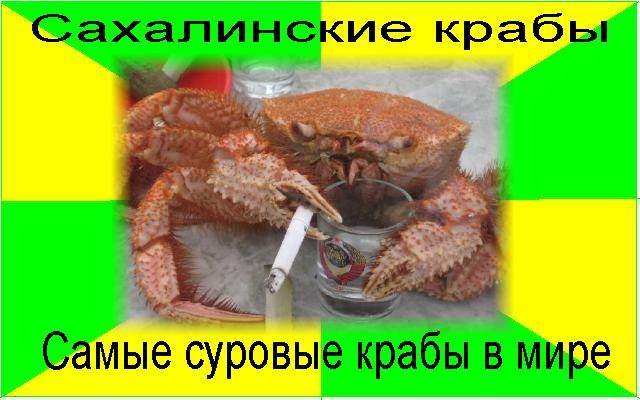 Малая Родина. Сахалин...