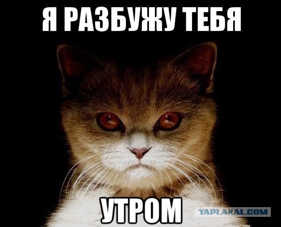 Прикольные пикчи