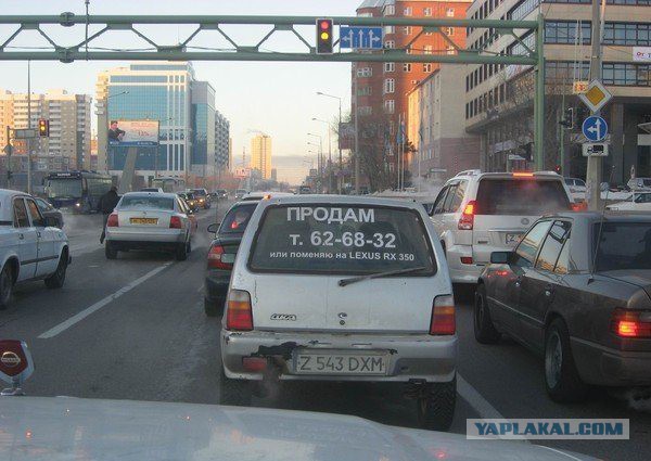 Прикольные фото и демотиваторы