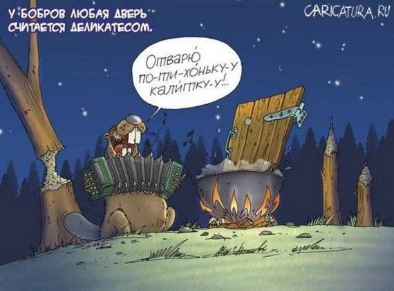 Попытка сфотографироваться с бобром