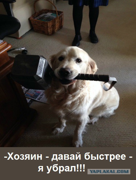 Подлянка от Тора