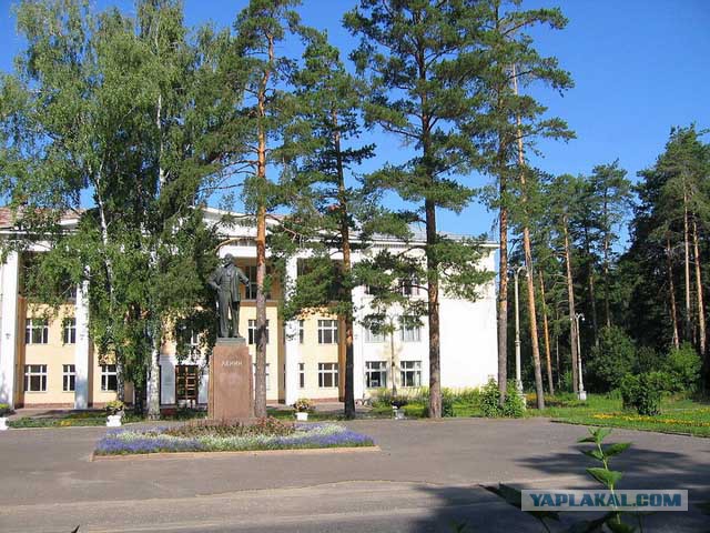 16 примеров того, как нужно относиться к природе