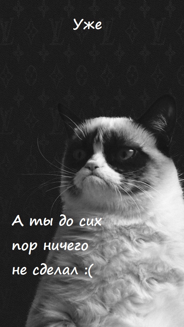 Когда находишь идеальную заставку для телефона