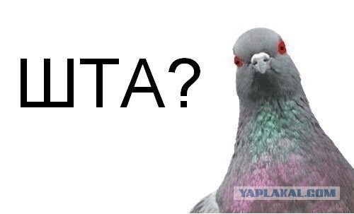 Гастрономическое путешествие мистера Andy, Кулинария для andy2308