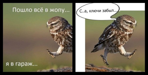 Картинки и гифки