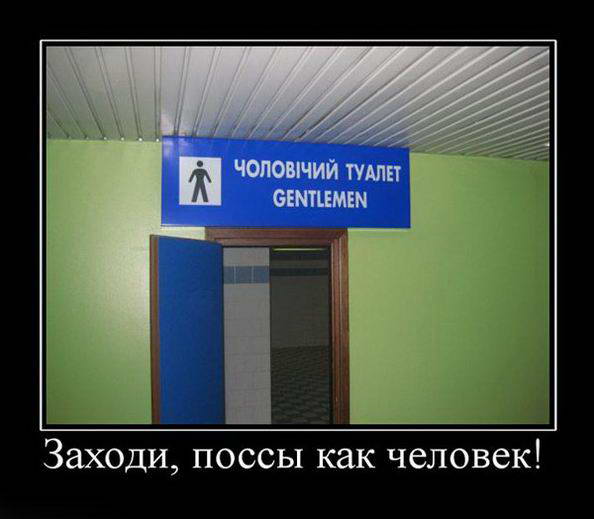 Прикольные картинки и демотиваторы