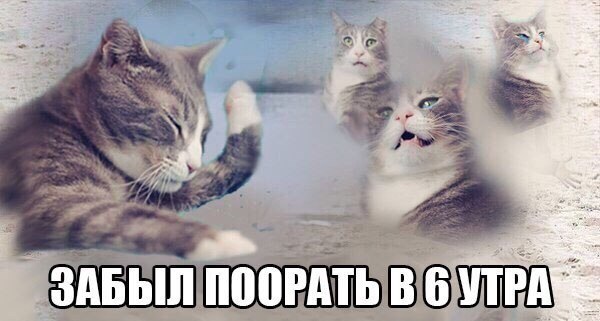 Подборка картинок