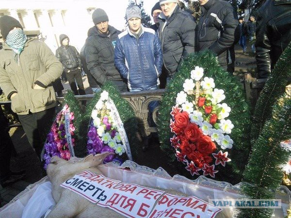Гроб со свиньей принесли к зданию Верховной рады