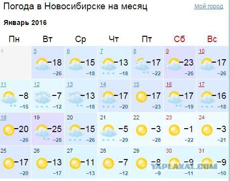 Ташкент, 2 января