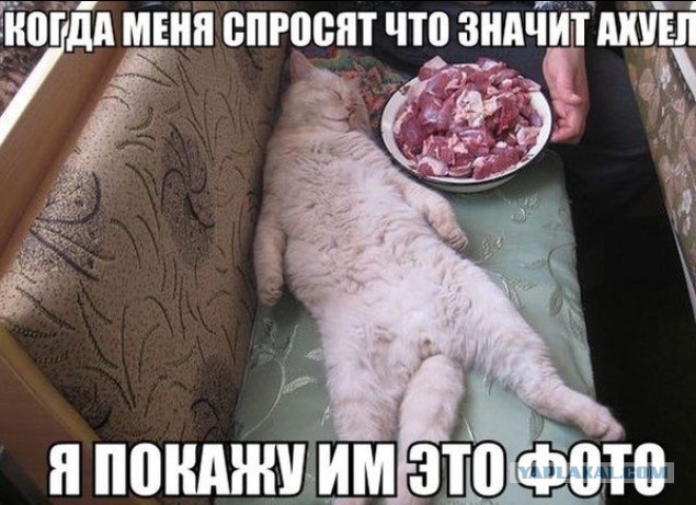 Помощь по-соседски