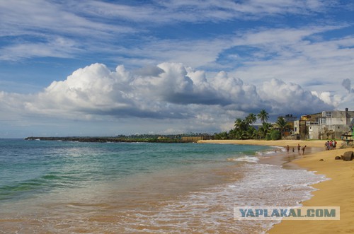 Самостоятельное путешествие в Шри-Ланку