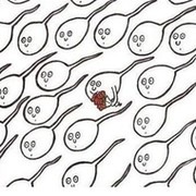 Так вот откуда такие появляются