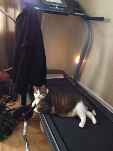 Интересные и веселые картинки